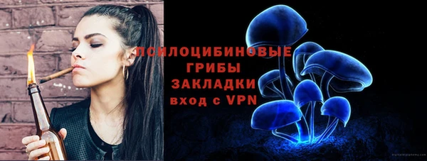 мяу мяу мука Богородицк