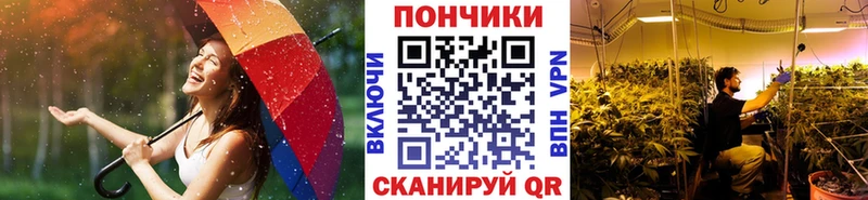 Купить закладки  Озёрск  Конопля гибрид 
